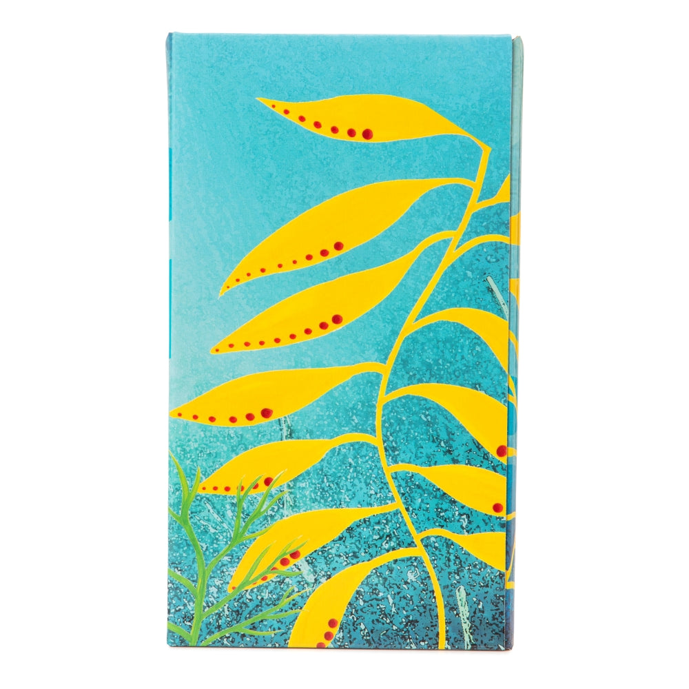 Indigenous Magazine Box - Jellyfish