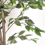Artificial Ficus Indoor Plant – 180cm