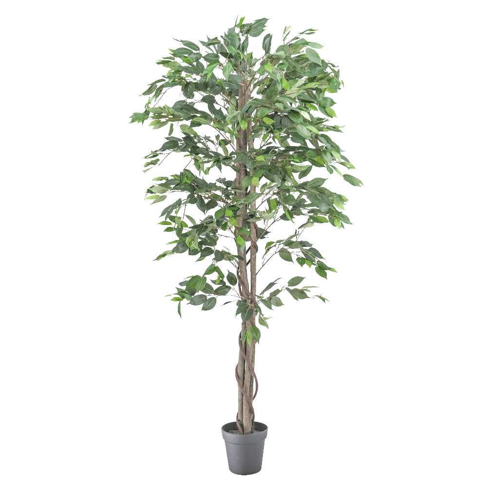 Artificial Ficus Indoor Plant – 180cm