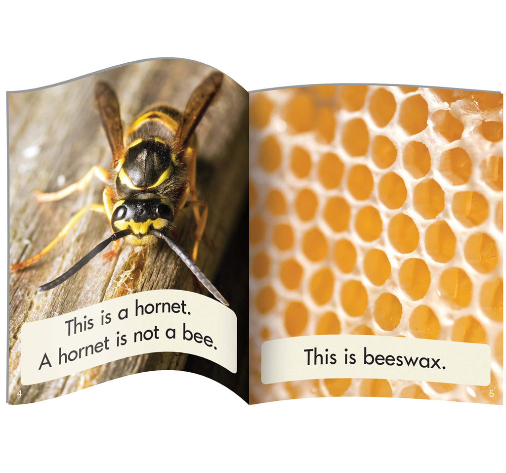 Science Decodable Reader Phase 3: Phonics