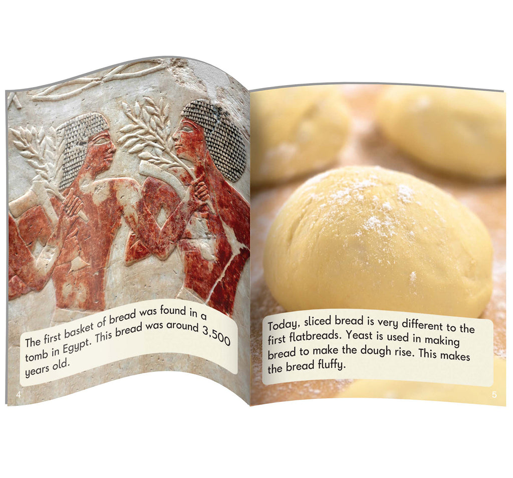 Decodable Readers Non Fiction Set 2 Phase 6: Spelling