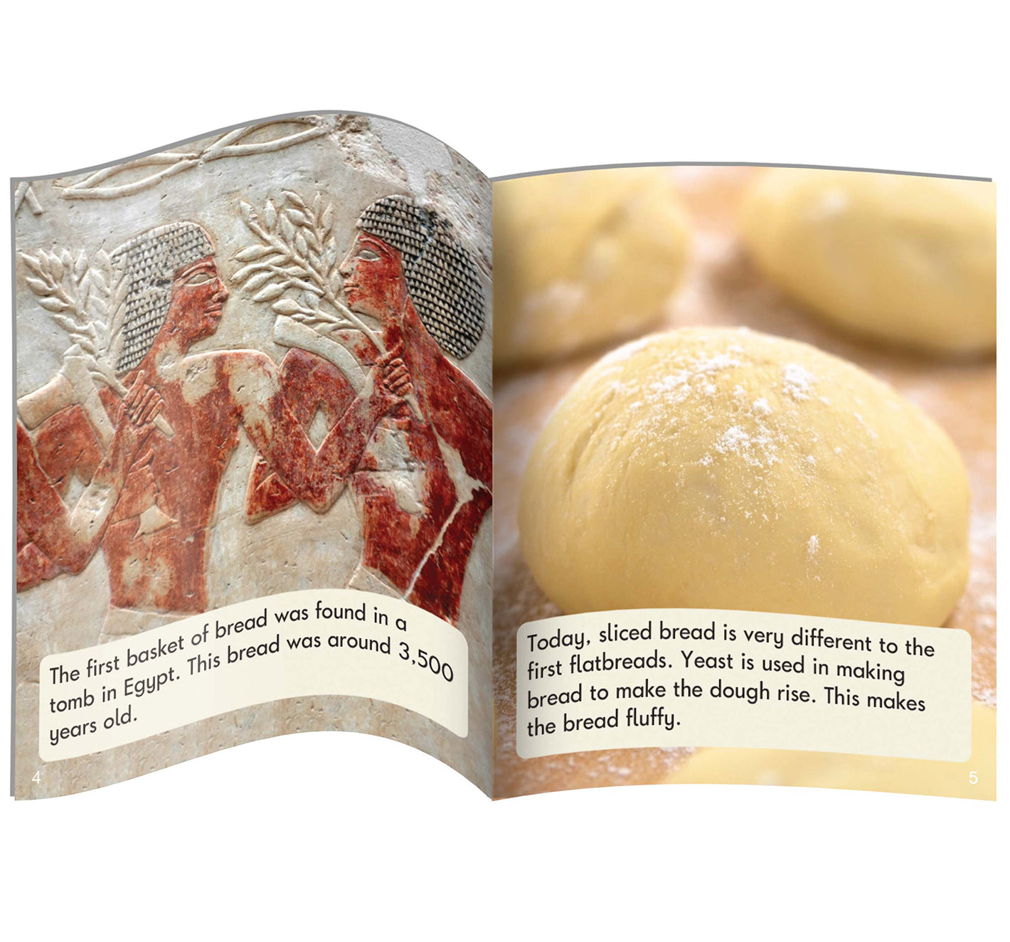 Decodable Readers Non Fiction Set 2 Phase 6: Spelling