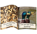 Decodable Readers Non Fiction  Set 1 Phase 3: Phonics