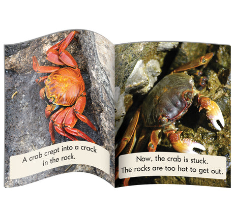 Decodable Readers Non Fiction  Set 1 Phase 4: Blends